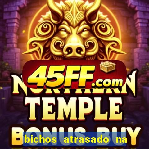 bichos atrasado na loteria dos sonhos